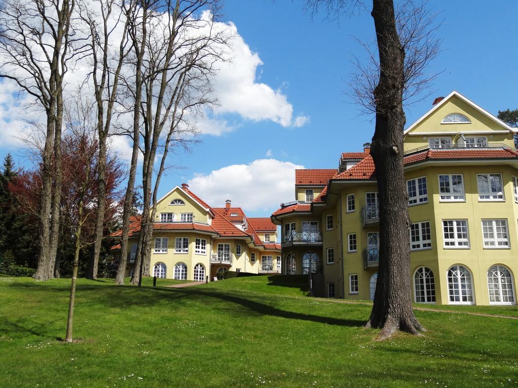 Seeblick Appartement Bad Saarow
